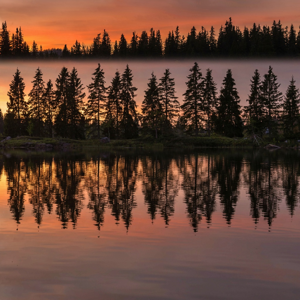 A row of trees reflected in a calm lake at sunset, with the 