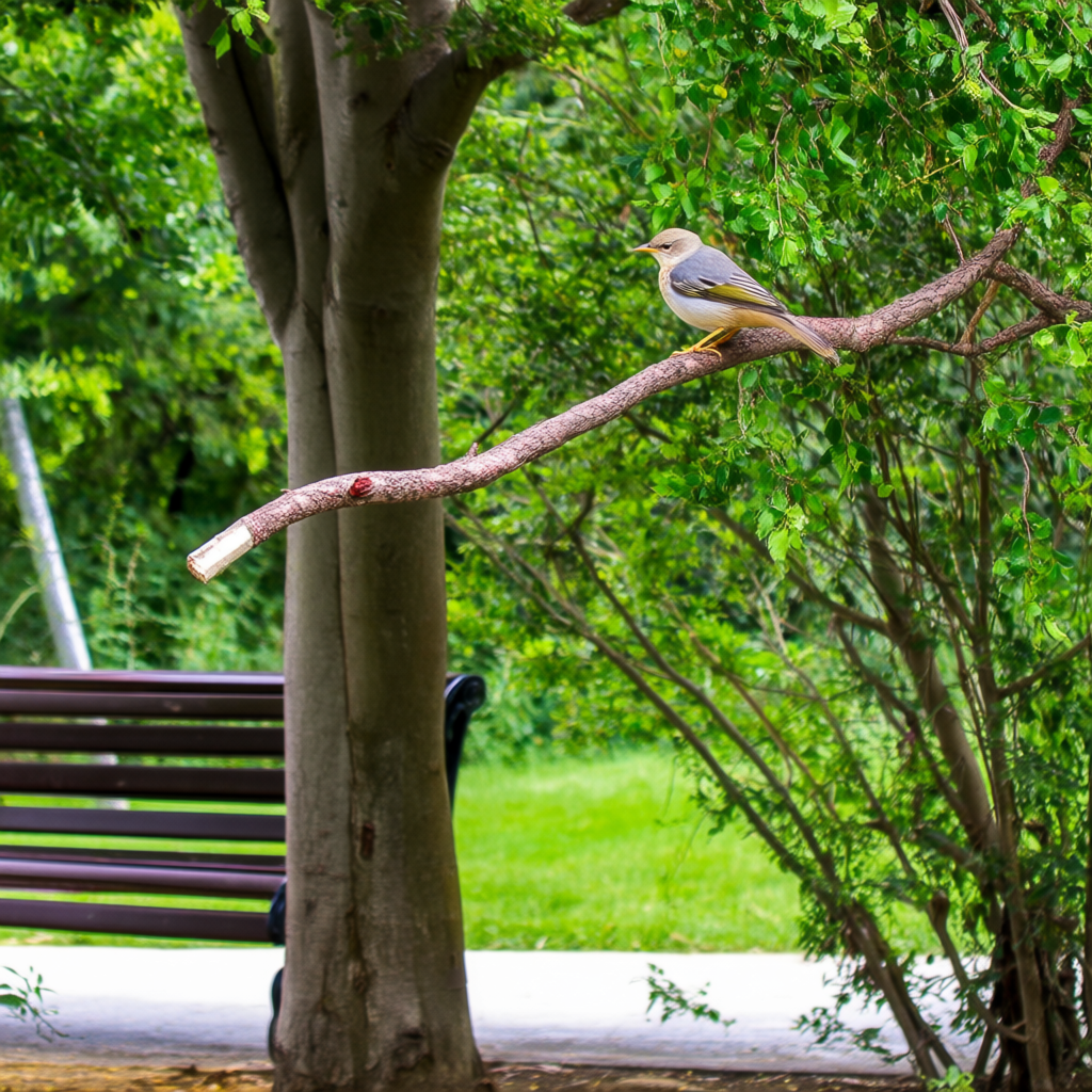 A bird perched on a branch, the branch extending from a tree