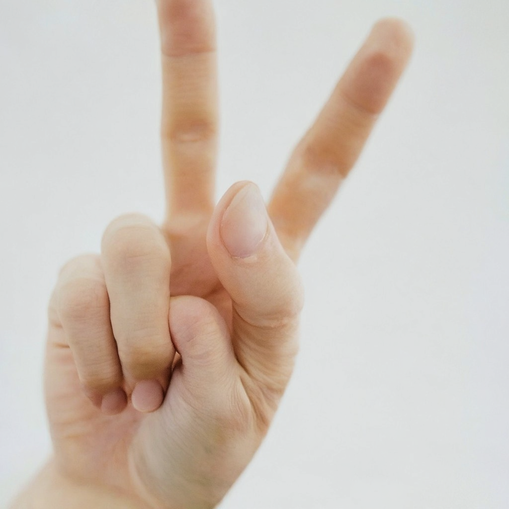 A person making a peace sign with their right hand, clearly 