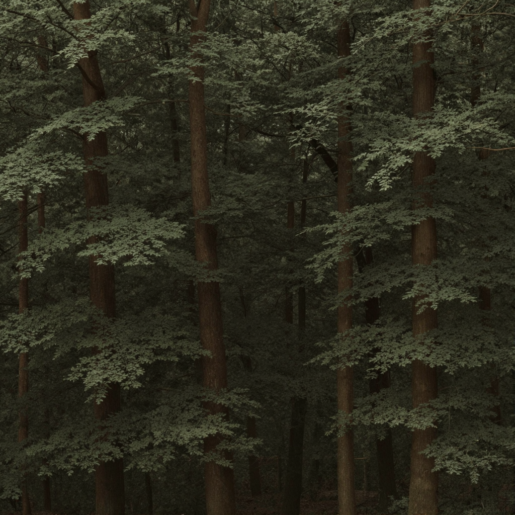 A forest scene where the foliage is precisely #2D5F2D (dark 