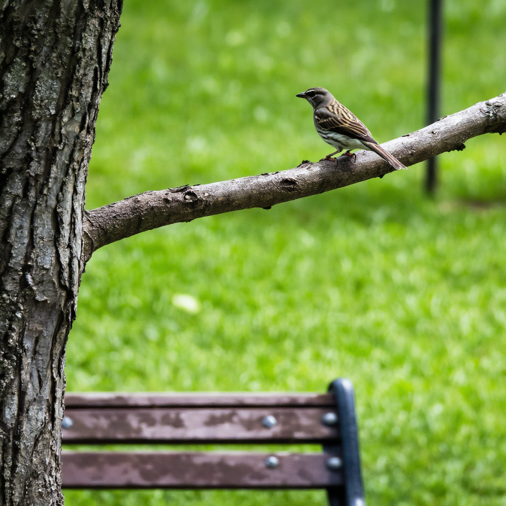 A bird perched on a branch, the branch extending from a tree