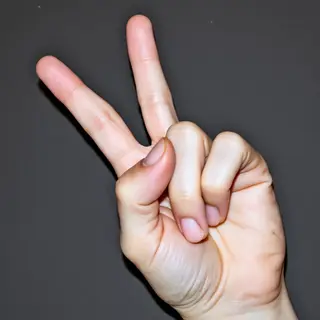 A person making a peace sign with their right hand, clearly 