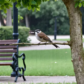 A bird perched on a branch, the branch extending from a tree