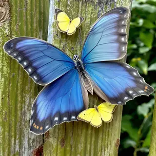 1 blue butterfly and 3 yellow butterflies resting on a garde