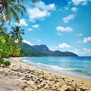 A tropical beach scene with no people