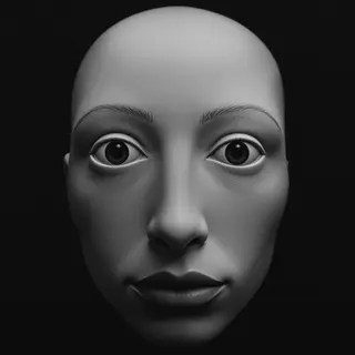 A human face with eyes, nose, and mouth but no eyebrows