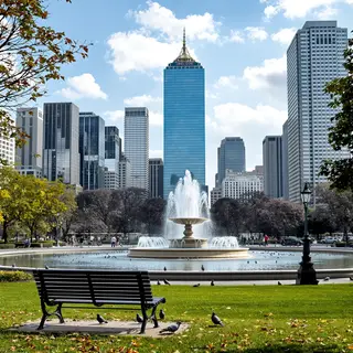 A city park with a park bench and pigeons in the foreground,