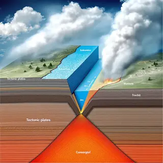 A cross-section showing tectonic plates at a convergent boun