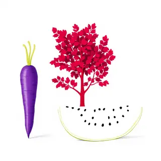 A purple carrot, a red tree with red leaves, and a white wat