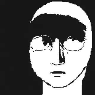A human face with eyes, nose, and mouth but no eyebrows