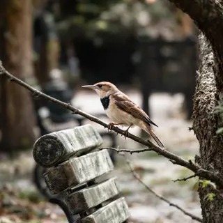 A bird perched on a branch, the branch extending from a tree