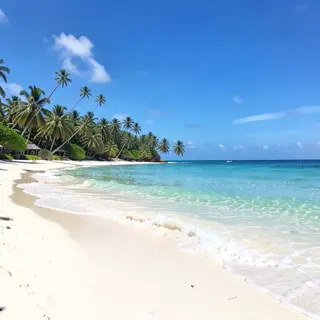 A tropical beach scene with no people