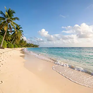 A tropical beach scene with no people