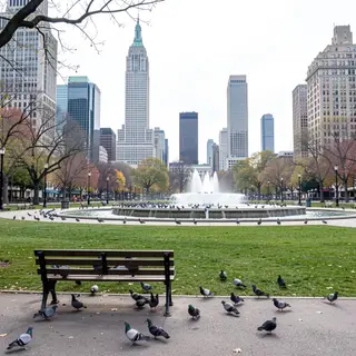 A city park with a park bench and pigeons in the foreground,