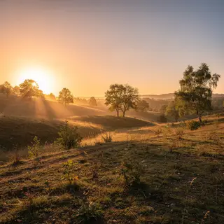A landscape photograph bathed in golden hour light — long wa