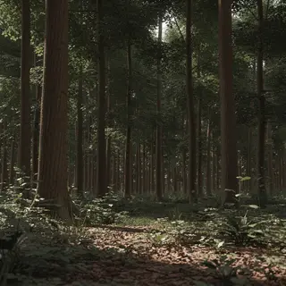 A forest scene where the foliage is precisely #2D5F2D (dark 