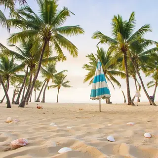 A sandy beach with palm trees, seashells, and a beach umbrel