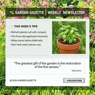 A newsletter layout with a banner image header, a two-column