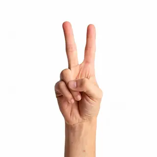 A person making a peace sign with their right hand, clearly 