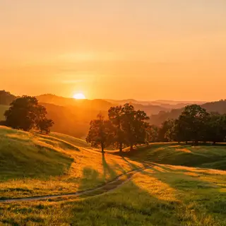 A landscape photograph bathed in golden hour light — long wa