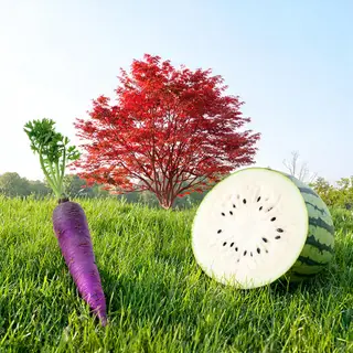 A purple carrot, a red tree with red leaves, and a white wat