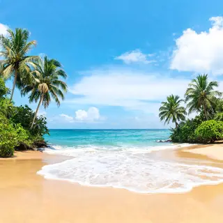 A tropical beach scene with no people