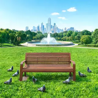 A city park with a park bench and pigeons in the foreground,