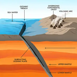 A cross-section showing tectonic plates at a convergent boun