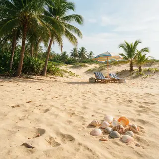 A sandy beach with palm trees, seashells, and a beach umbrel