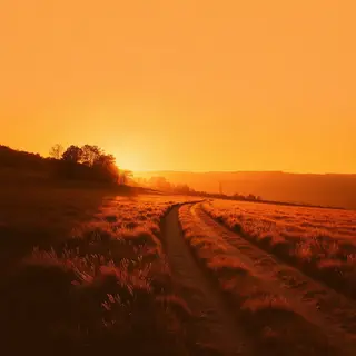 A landscape photograph bathed in golden hour light — long wa