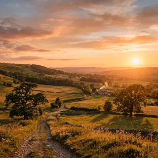 A landscape photograph bathed in golden hour light — long wa