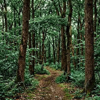 A forest scene where the foliage is precisely #2D5F2D (dark 