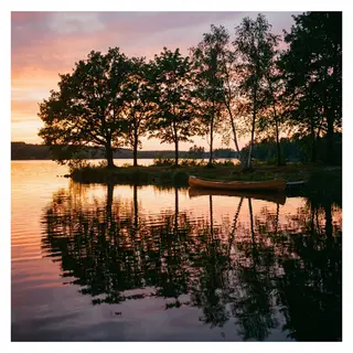 A row of trees reflected in a calm lake at sunset, with the 