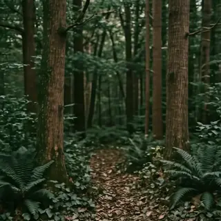 A forest scene where the foliage is precisely #2D5F2D (dark 
