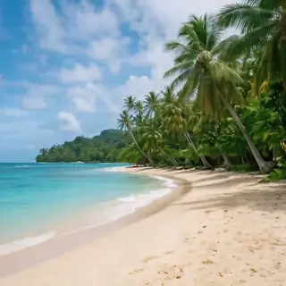 A tropical beach scene with no people