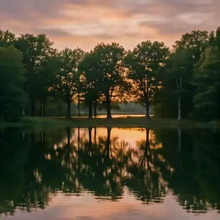 A row of trees reflected in a calm lake at sunset, with the 