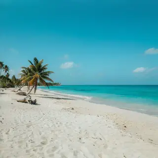 A tropical beach scene with no people