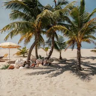 A sandy beach with palm trees, seashells, and a beach umbrel