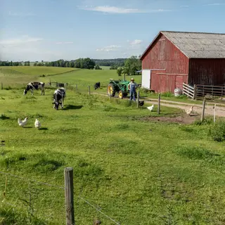 A farm scene with a barn, tractor, farmer, cow, chicken, and