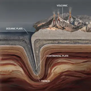 A cross-section showing tectonic plates at a convergent boun