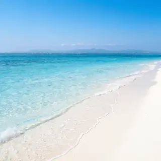 A tropical beach scene with no people