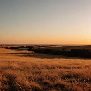 A landscape photograph bathed in golden hour light — long wa