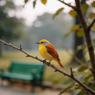A bird perched on a branch, the branch extending from a tree