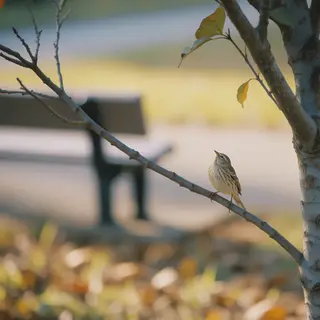 A bird perched on a branch, the branch extending from a tree