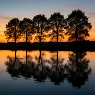 A row of trees reflected in a calm lake at sunset, with the 