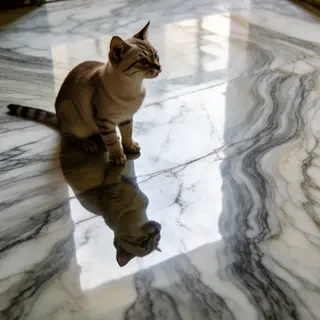 A cat sitting on a polished marble floor with its reflection