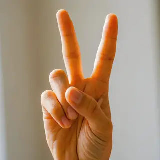 A person making a peace sign with their right hand, clearly 
