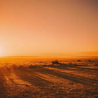 A landscape photograph bathed in golden hour light — long wa