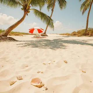 A sandy beach with palm trees, seashells, and a beach umbrel