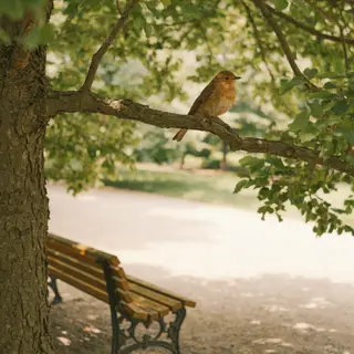 A bird perched on a branch, the branch extending from a tree